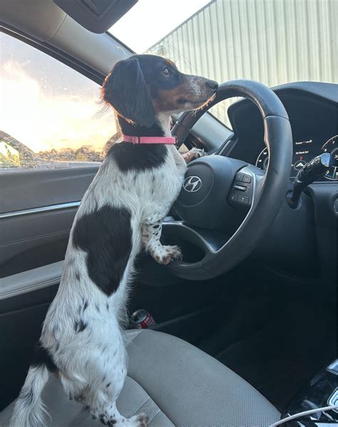 Gallery | kiersten-grace | VSCO