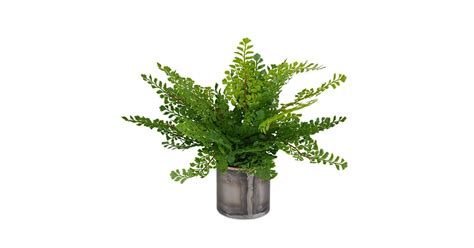 Uttermost 60237 Maidenhair Fern 14" Tall Metal Faux Flora Planter ...