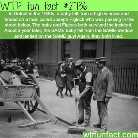 Image result for Super Random Facts