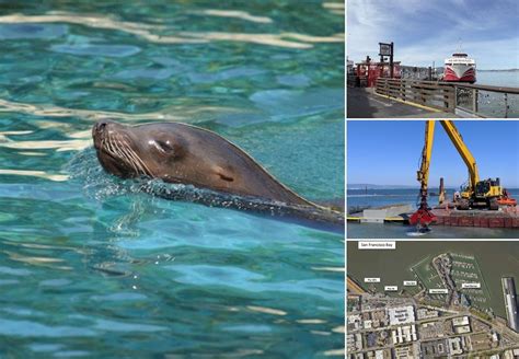 How PG&E is Addressing Legacy Sediment Contamination in San Francisco’s ...