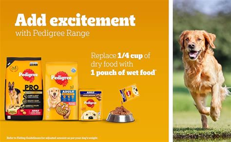Buy Pedigree Adult Wet Dog Food, Roasted Lamb Flavour Chunks in Gravy ...