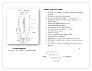 Belt and line transects it helps us understand that what are the ...