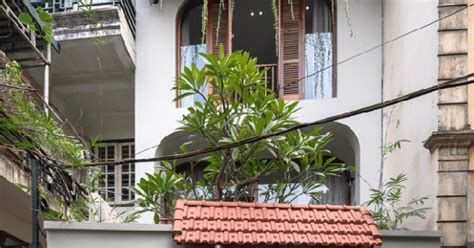 AMBIL SEKARANG