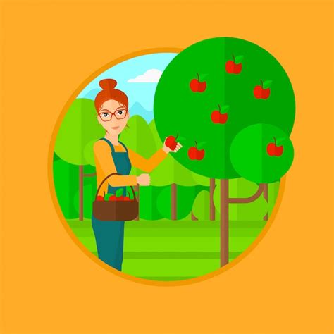 Seleccion frutas por mañana Vectors - Download Free High-Quality ...