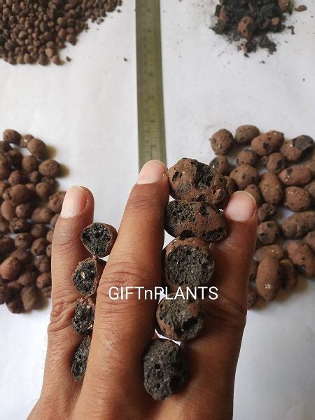 Leca Balls, Small Size, (4 to 10 mm), Hydroton Pebbles for Mulching ...