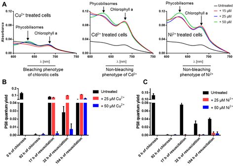 Heavy Metal Stress Alters the Response of the Unicellular ...