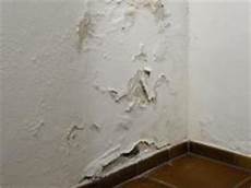 feuchtigkeit aus garage so dichten sie eine feuchte kellerwand innen ab bauhaus feuchtigkeit aus garage so dichten sie eine feuchte kellerwand innen ab bauhaus