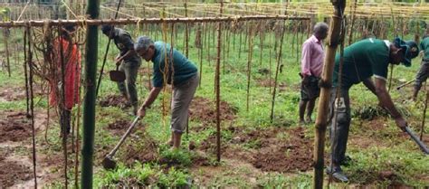 ARS Mannuthy @ "Operation Punarjani" | Kerala Agricultural University