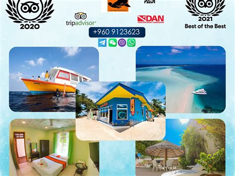 RASDHOO DIVE CLUB (2026) All You Need to Know BEFORE You Go (with ...