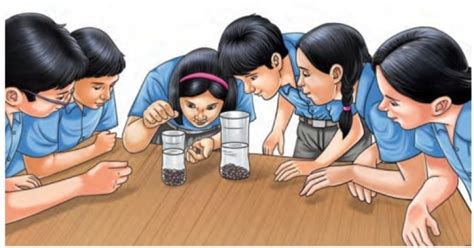 NCERT Solutions for Class 6 Science The Wonderful World of Science PDF