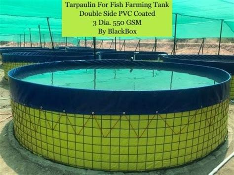 BioFloc 550 GSM Tank (3 Meter Dia, 4ft Height) : Amazon.in: Garden ...