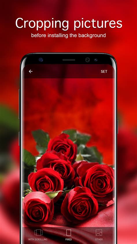 Rose Wallpapers and Backgrounds apps 4k - App on Amazon Appstore