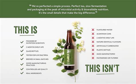 Zoh Probiotics Kombucha-(Pack Of 3) Jasmine,Berry&Kashmiri Kahwa ...