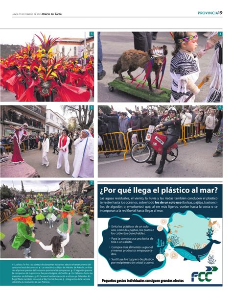 Carnaval de Cebreros 2023: Desfile Provincial