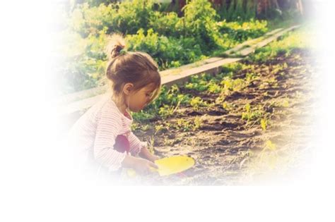 Children Play 的图像结果