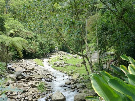 PARQUE EL SALADO - All You Need to Know BEFORE You Go 2026 (with Photos ...