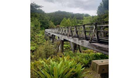 Waitutu Forest Lodge | Accommodation in Southland, New Zealand