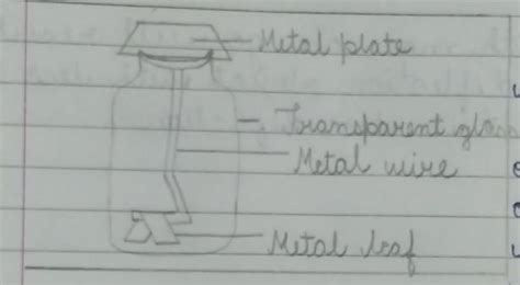 How does an electroscope work? explain using a diagram - Brainly.in