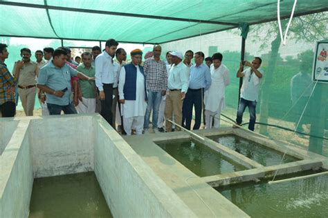 Krishi Vigyan Kendra, Hanumangarh - I