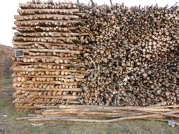 Preservation & Protection