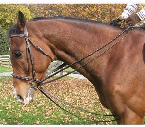 Legacy Bridlery Premium Draw Reins for Horse Training by Legacy India ...