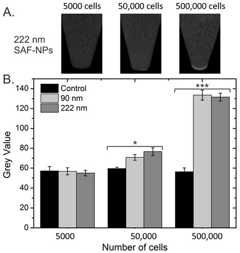 Synthetic Antiferromagnetic Gold Nanoparticles as Bimodal Contrast ...