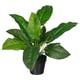 FEJKA artificial potted plant, in/outdoor calathea, 12 cm (4 ¾") - IKEA