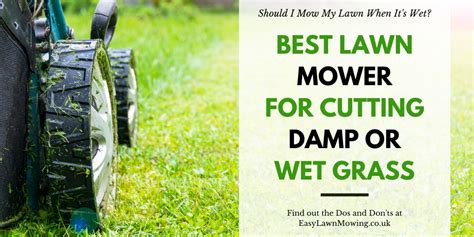 Best way to on sale mow wet grass
