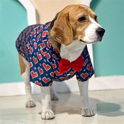 Buy Dog-O-Bow "Heart" Print Shirt Online at Best Price of Rs 824.25 ...