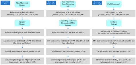 Skin Microbiota, Circulating Metabolic Biomarker, Epilepsy: A Mendelian ...