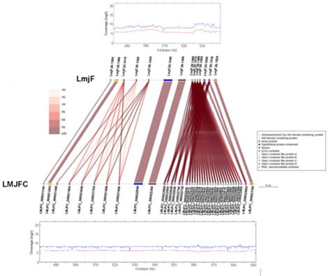 Gene Annotation and Transcriptome Delineation on a De Novo Genome ...