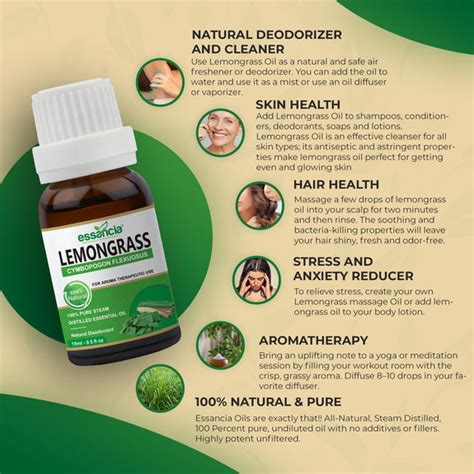 Pack of 12 Essential Oils (Tea Tree, Lavender, Lemon, Orange, Peppermi ...