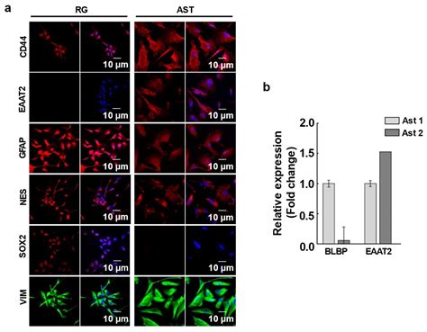 Prospective Approach to Deciphering the Impact of Intercellular ...