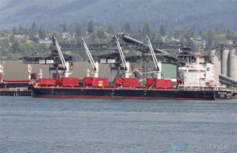 WEALTH BEROE, Bulk Carrier - Details and current position - IMO 1054682 ...