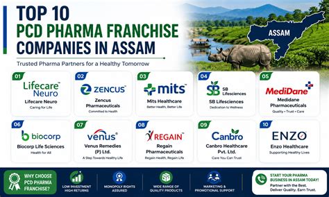 Top 10 PCD Pharma Franchise Companies in Assam (2026) - Pharma Lead