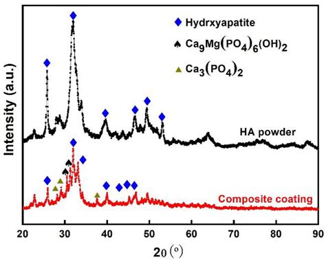 Preparation and Degradation Characteristics of MAO/APS Composite Bio ...