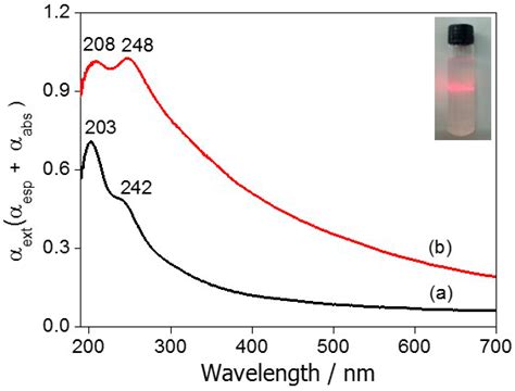 New Hybrid Nanomaterial Based on Self-Assembly of Cyclodextrins and ...