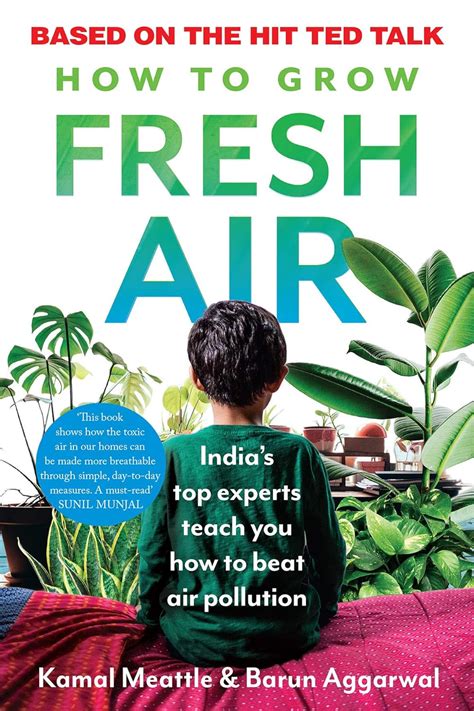 How to Grow Fresh Air eBook : Meattle, Kamal , Aggarwal, Barun: Amazon ...