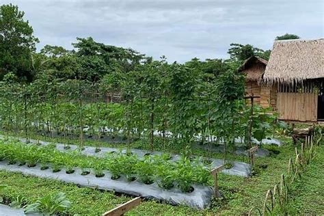 BAYATAKAN FARM EXPERIENCE (2026) All You Need to Know BEFORE You Go ...