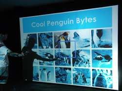 ZooLex Exhibit - Penguin Coast