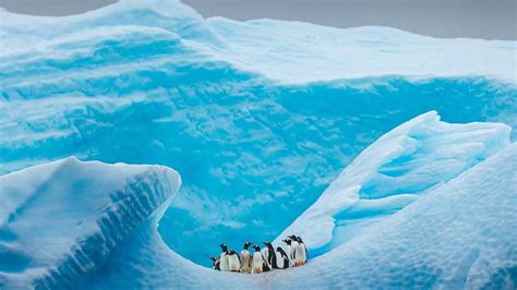 This Trip To Patagonia And Antarctica Is Led By An All-Star Conservationist