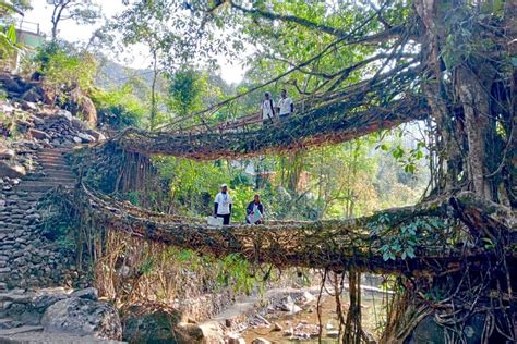 Borders sealed, Meghalaya gets ready for elections THE NEW INDIAN ...