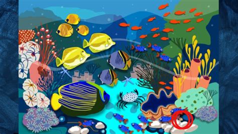 Optical illusion: Find the hidden seashell in under 7 seconds - Times ...