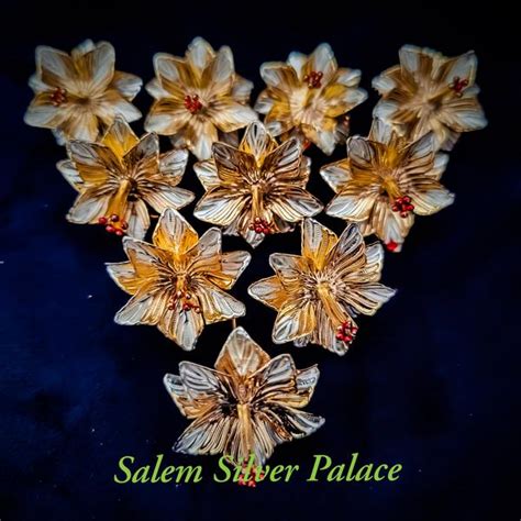 Salem Silver Palace in Salem