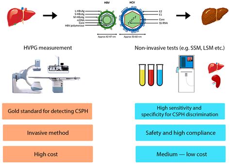 Non-Invasive Diagnostic Tests for Portal Hypertension in Patients with ...