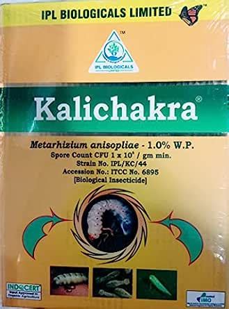 Ipl Kalichakra (Metarhizium Anisopliae 1.0% Wp) Biological Insecticide ...