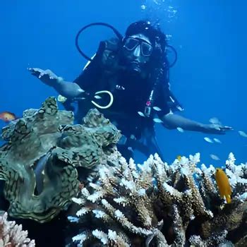 Rushikonda Beach Scuba Diving in Andhra Pradesh | South Tourism