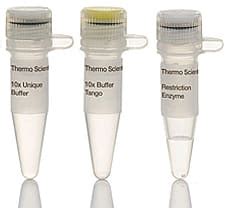 Buy KpnI restriction enzyme ER0521 in India | Biomall