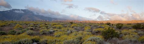 DHS Dancing Sustenance: Afternoon Interpretive Hike, Mission Creek ...