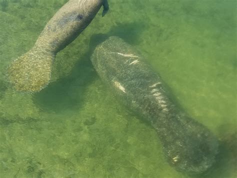 KAYAK ADVENTURES KEY WEST - All You Need to Know BEFORE You Go 2026 ...